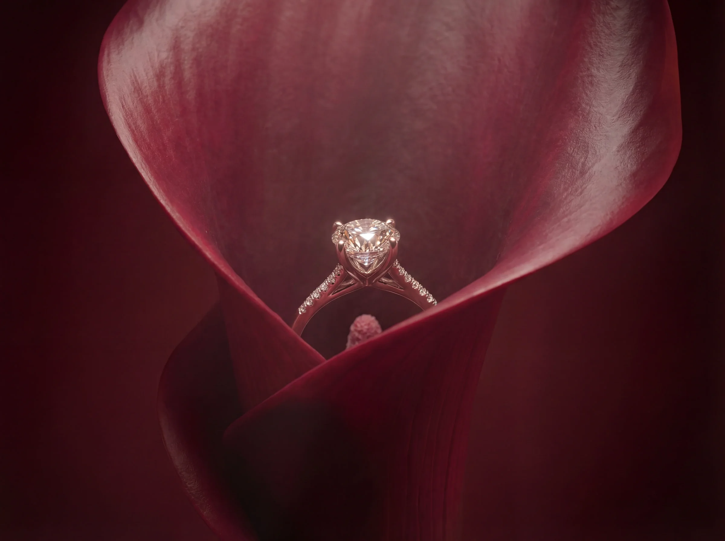 Diamond solitaire ring staged inside a crimson flower
